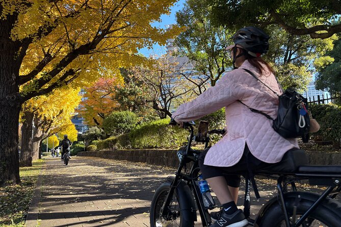 Tokyo Top Highlights 3h Guided E-bike Tour - Timing, weather, and the practical details