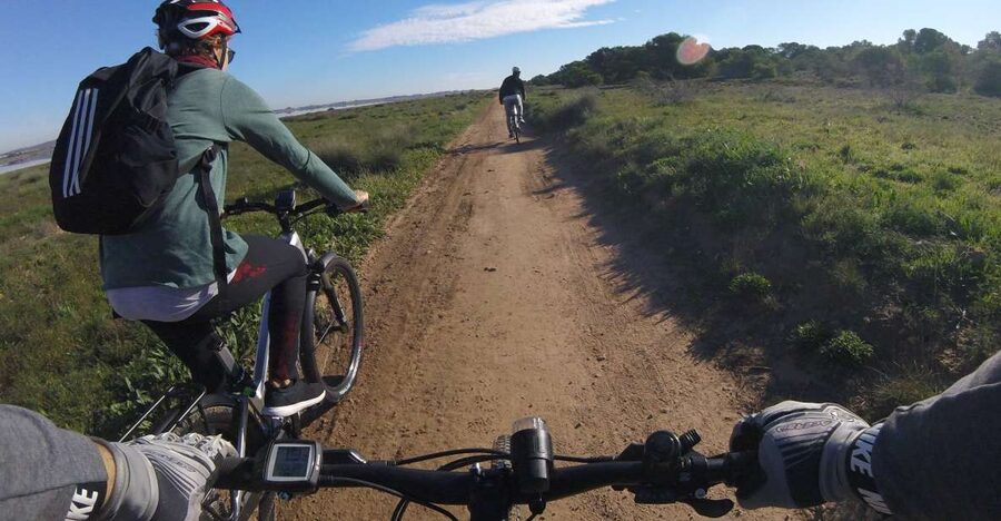 Torrevieja: Natural Parks e-Bike Tour - A short ride into Torrevieja’s pink salt country