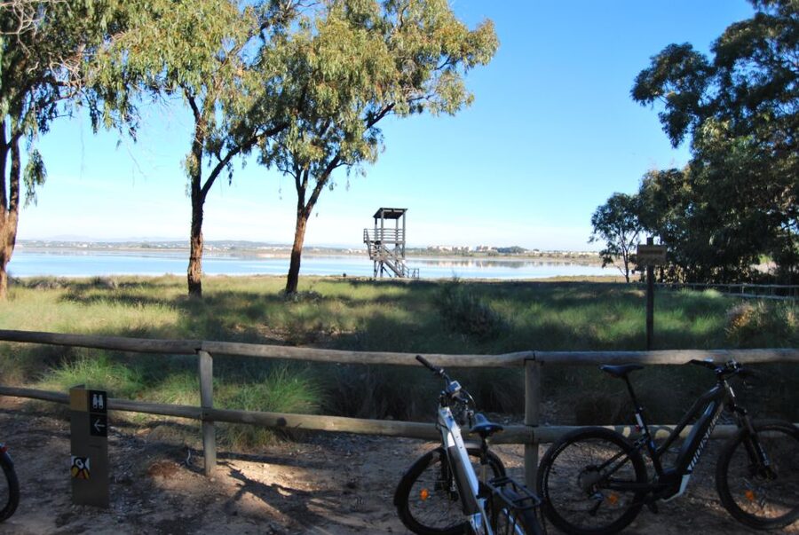 Torrevieja: Natural Parks e-Bike Tour - Seeing Laguna Rosa and the Salinas de Torrevieja