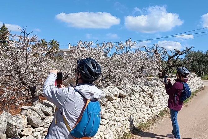 Tour Ebike Trulli Alberobello - The country roads are the real attraction