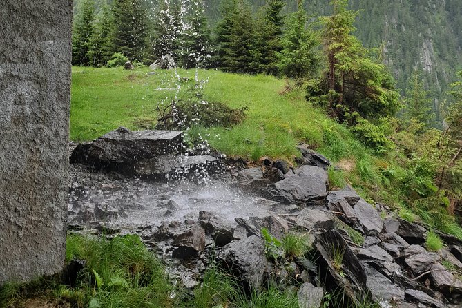 Transfagarasan Highway and Balea Lake E-Bike Tour - Who should book this ride?