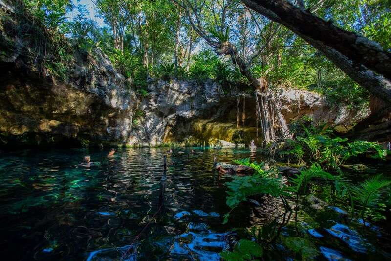 Tulum: Cenote Trail Bike Tour - The jungle meal is part of the appeal