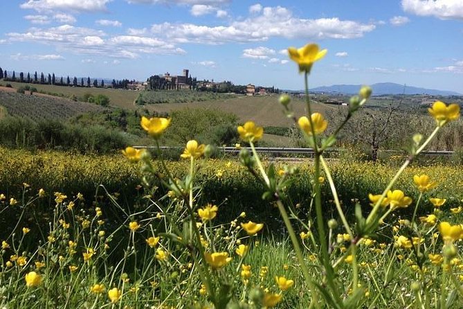 Tuscany Bike Tours Through the Chianti Hills with Wine Tasting - Is $145 a fair price?