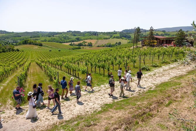 Tuscany E-Bike Tour: from Florence to Chianti with lunch and tastings - The ride back and the role of the support van