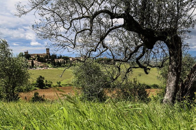 Tuscany E-Bike Tour: from Florence to Chianti with lunch and tastings - Booking details that can affect your day