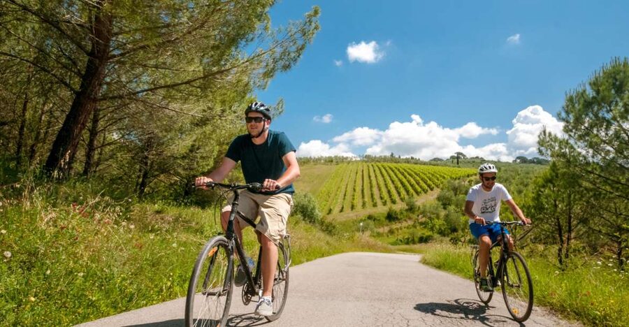 Tuscany: E-Bike Tour from Florence with Lunch - Inside the winery and olive oil mill