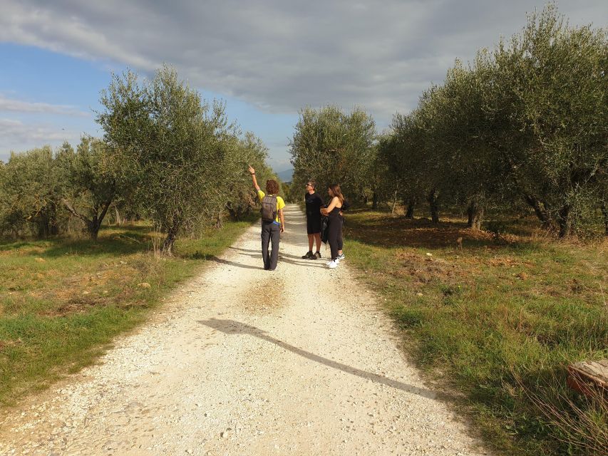 Tuscany Hills Bike Tour with Lunch at farm and Wine Tasting - Who will enjoy this ride most