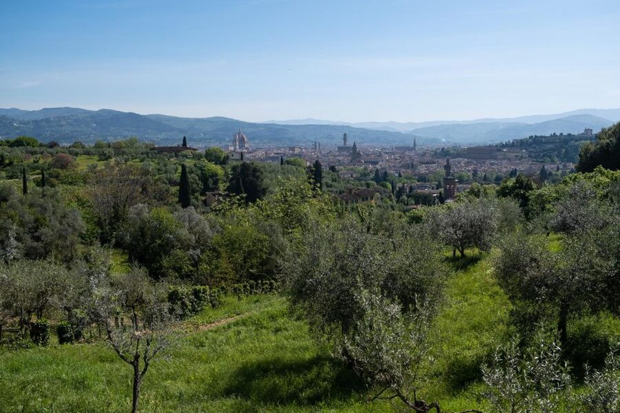 Tuscany Hills Bike Tour with Lunch at farm and Wine Tasting - The first climb tests your choice of bike
