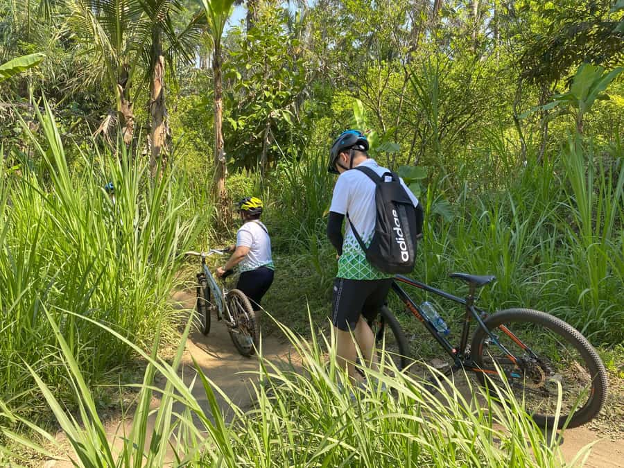 Ubud: Downhill Bike Tour with Rice Fields, Volcano and Meal - The school stop gives the ride a human scale