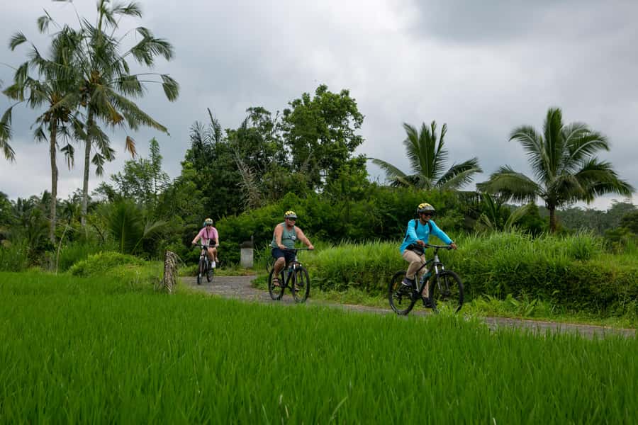 Ubud: Downhill Cycling with Volcano, Rice Terraces, and Meal - Practical advice before you go