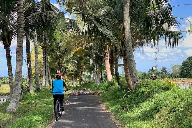 Ubud: Downhill Cycling with Volcano, Rice Terraces, and Meal - How the $36 price holds up