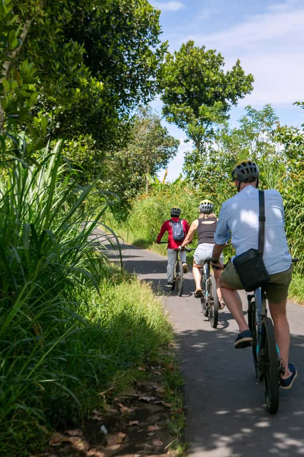Ubud: Downhill Cycling with Volcano, Rice Terraces, and Meal - Who should book this Bali cycling experience