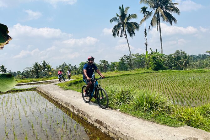 Ubud eBikes Tour to Tegallalang Rice Terrace - Rice fields, plantations, and the Tegallalang stop
