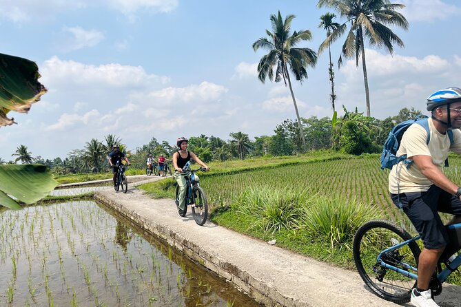 Ubud eBikes Tour to Tegallalang Rice Terrace - Coffee and tea after the ride