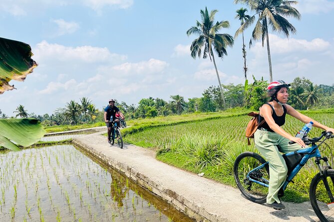 Ubud eBikes Tour to Tegallalang Rice Terrace - Riding through Petulu and the Ubud countryside