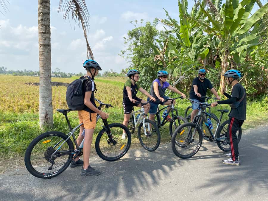 Ubud : PRIVATE Bike Tour inside Rice Field Ubud Countryside - How the guides shape the experience
