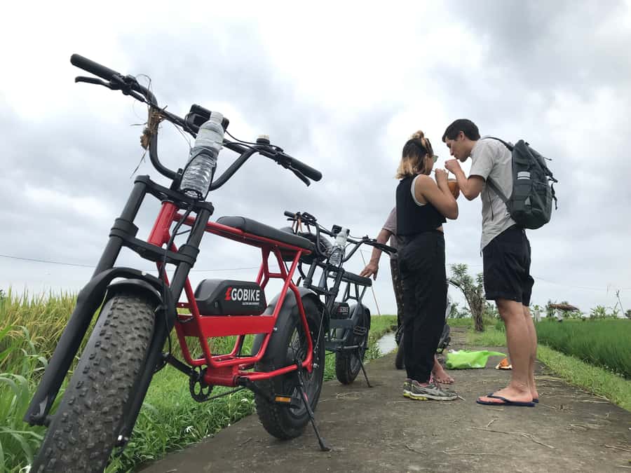 Ubud: Rice Terraces & Villages Half-Day Fat Tire E-Bike Tour - Practical details to settle before you go