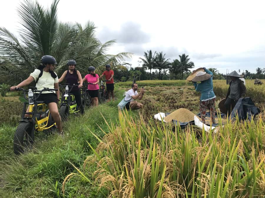 Ubud: Rice Terraces & Villages Half-Day Fat Tire E-Bike Tour - Tegalalang and the meaning of subak