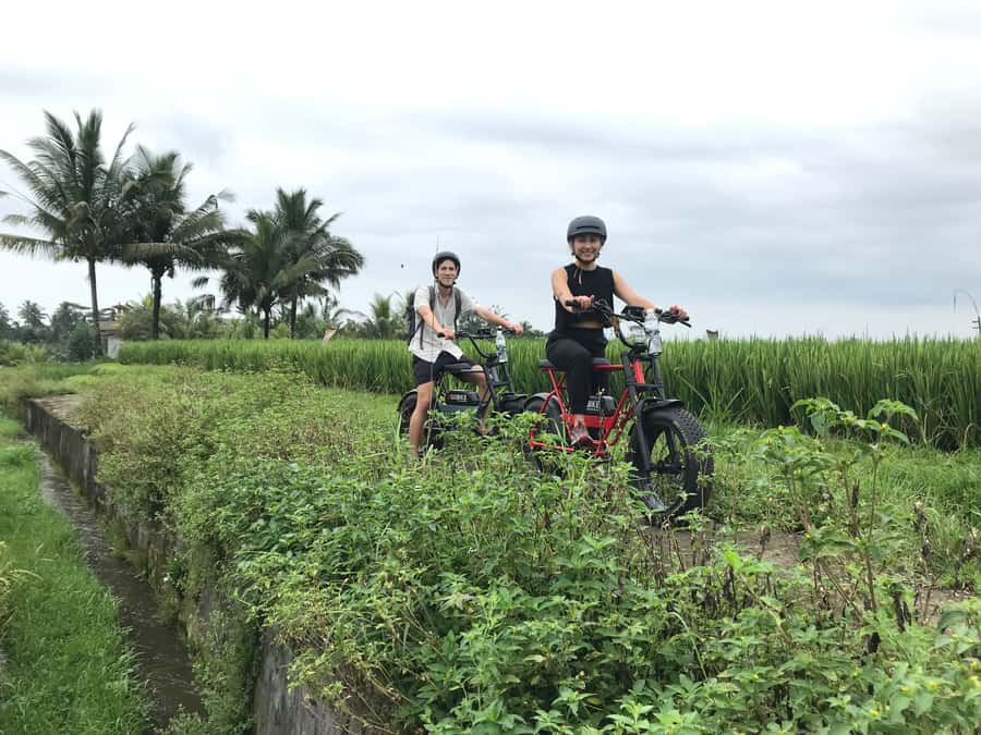 Ubud: Rice Terraces & Villages Half-Day Fat Tire E-Bike Tour - The roads, safety, and physical effort