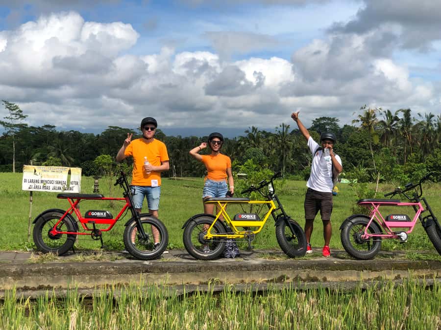 Ubud: Rice Terraces & Villages Half-Day Fat Tire E-Bike Tour - Lunch at a local Ubud restaurant