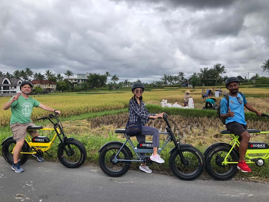 Ubud: Rice Terraces & Villages Half-Day Fat Tire E-Bike Tour - Who will enjoy this ride most