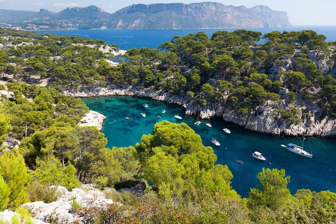 Ultimate Calanques Panoramic e-bike Ride – 3h (Small Group) - The essential points before you book