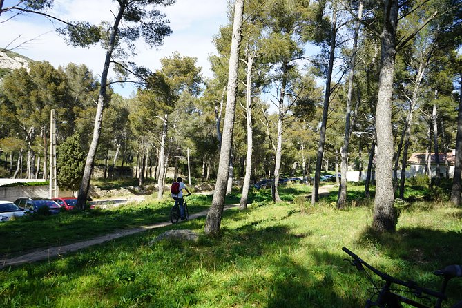 Ultimate Calanques Panoramic e-bike Ride – 3h (Small Group) - What the guide adds to the experience
