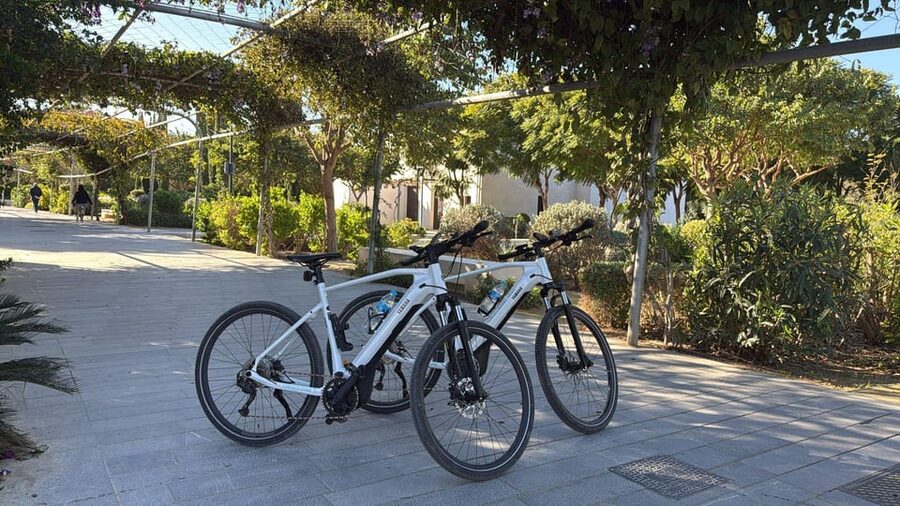 Valencia all in one: beaches, old town & city arts by E-bike - Key points at a glance