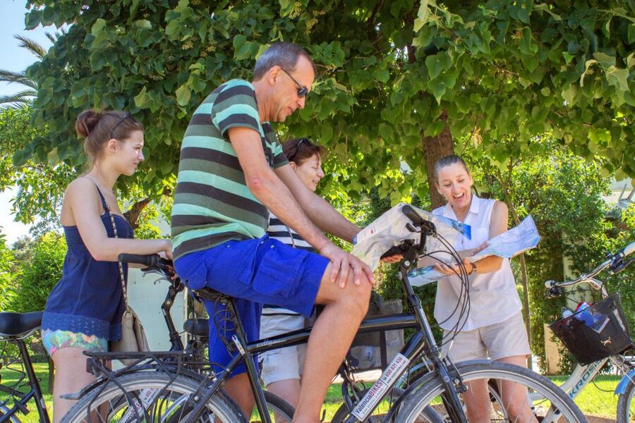 Valencia Bike Tour - Bridges, gardens, and the Palace of Music
