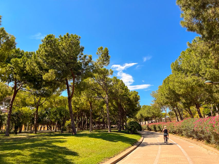 Valencia Bike Tours: City Highlights - Bikes, pace, and physical effort