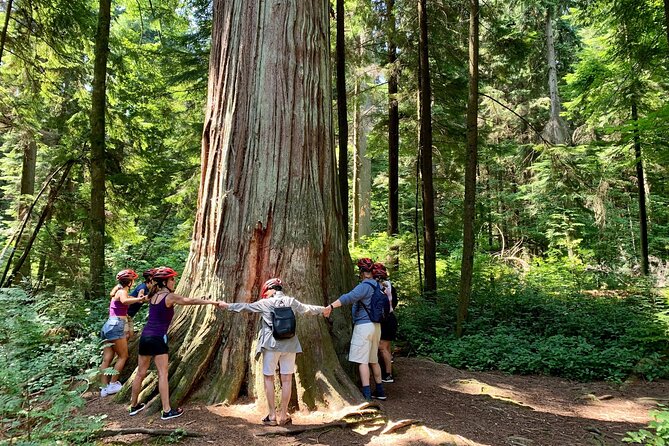 Vancouver Stanley Park 3 Hour Bike Tour - Why Stanley Park works so well by bicycle
