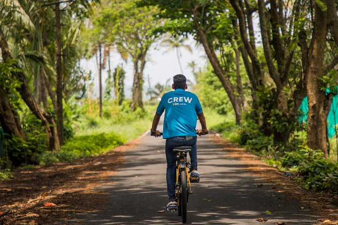 Varca Coastal E-Bike Tour: Scenic Beachside Adventure - Paddy fields and the areca nut plantations