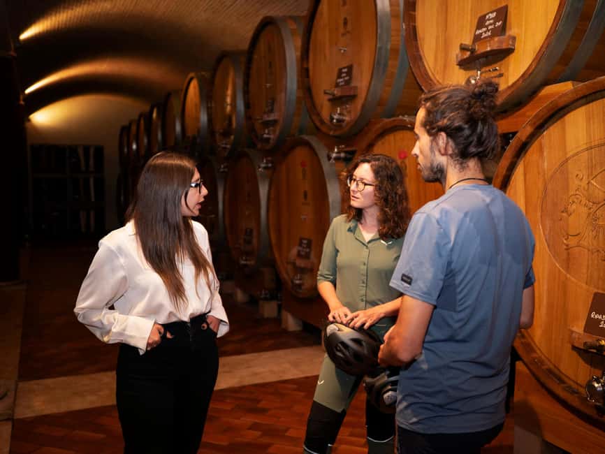 Verona: Valpolicella Wine Self-Guided E-Bike Tour & Tastings - The ride back to Verona