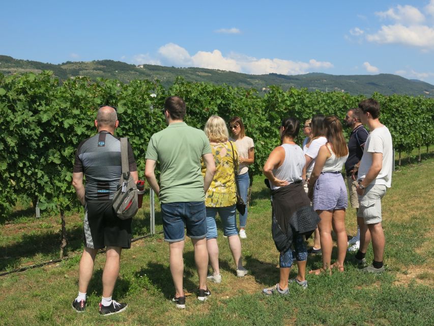 Verona: Valpolicella Wine Self-Guided E-Bike Tour & Tastings - Is $105 a fair price?