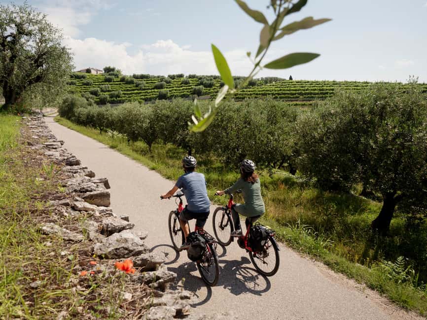 Verona: Valpolicella Wine Self-Guided E-Bike Tour & Tastings - Who should book this experience?