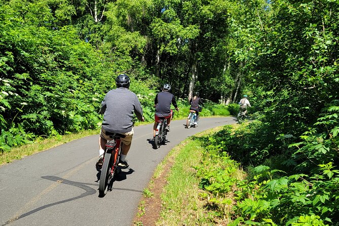 Viator Exclusive: Go eBike Alaska on Tony Knowles Trail - Wildlife watching along the route