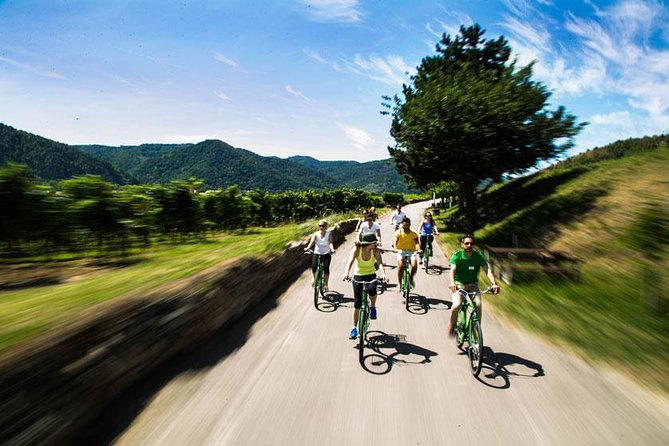 Wachau Valley Wine Tasting Bike Tour from Vienna - Dürnstein and the blue abbey tower
