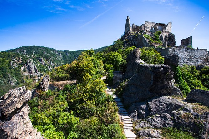 Wachau Valley Wine Tasting Bike Tour from Vienna - The return journey and the real cost of the day