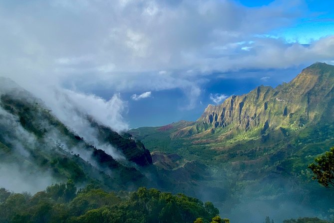 Waimea Canyon Downhill Bike Ride - Kokee State Park and the high-country stops