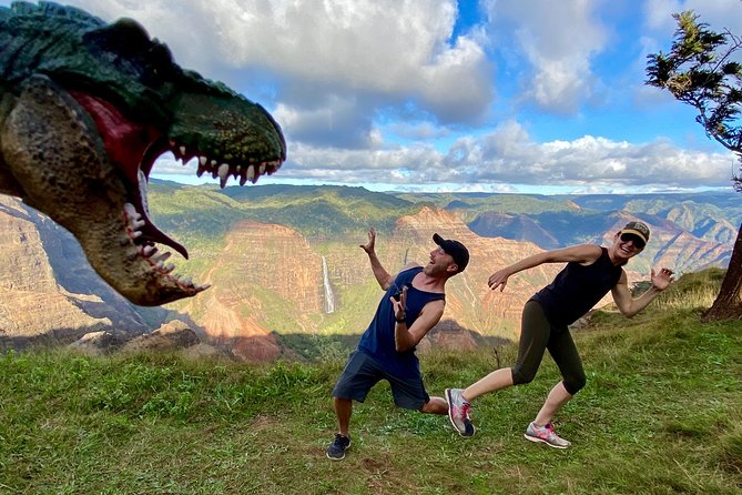 Waimea Canyon Downhill Bike Ride - Na Pali Coast State Wilderness Park and Niihau