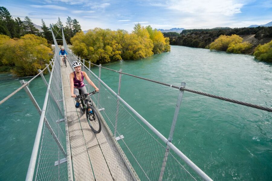 Wanaka: Self-Guided Regular MTB - Lake Hawea to Lake Wanaka - The lakeside finish and Wanaka Tree