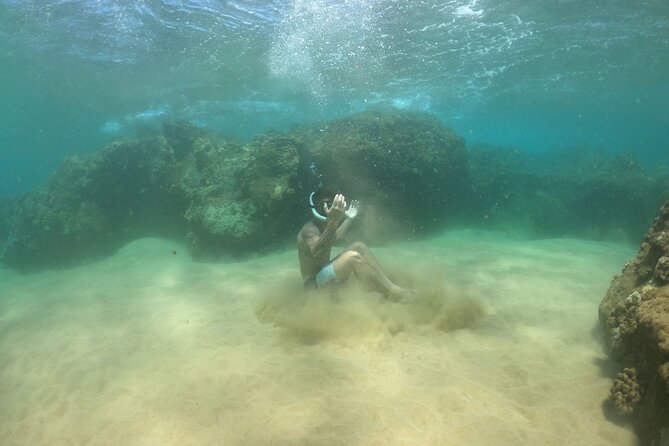 Water Bike Tour in South Maui - Why this South Maui ride deserves a place in your plans