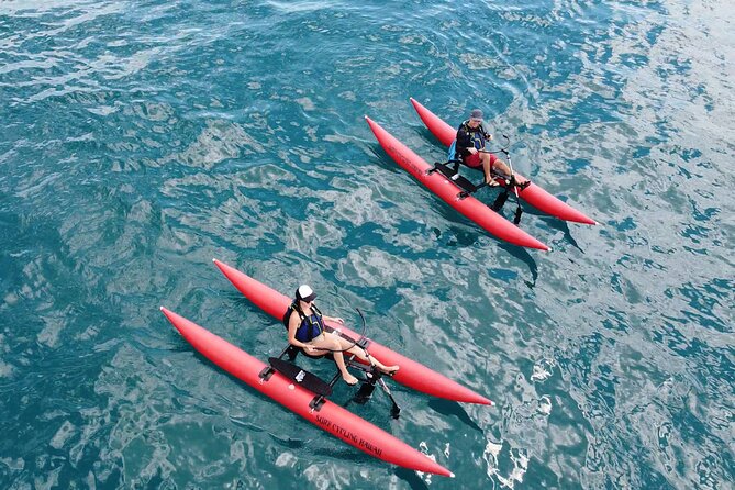 Water Bike Tour in South Maui - What the water bike is really like