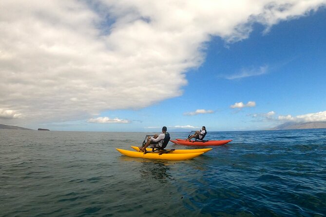 Water Bike Tour in South Maui - Reef life, turtles, and the luck of the morning
