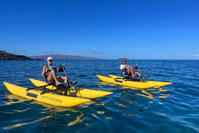 Water Bike Tour in South Maui - The rare black sand beach from offshore