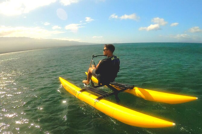 Water Bike Tour in South Maui - What makes the guides important