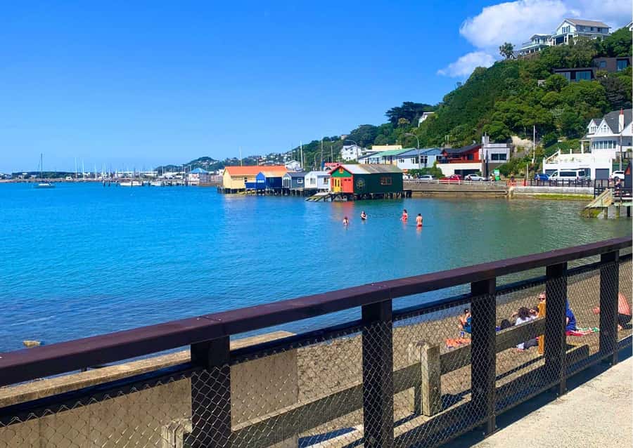 Wellington Electric Bike Rental - Weta Workshop and nearby sights