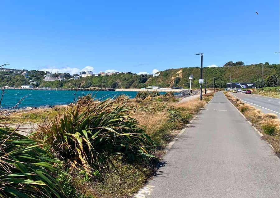 Wellington Electric Bike Rental - The Rimutaka Rail Trail by train