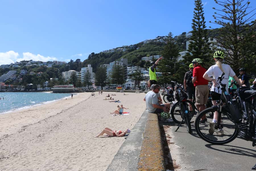 Wellington: Guided Sightseeing Tour by Electric Bike - Why an electric bike works so well in Wellington