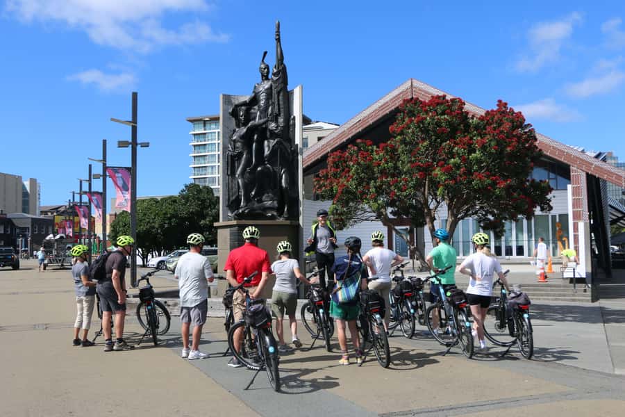 Wellington: Guided Sightseeing Tour by Electric Bike - Starting beside Waitangi Park